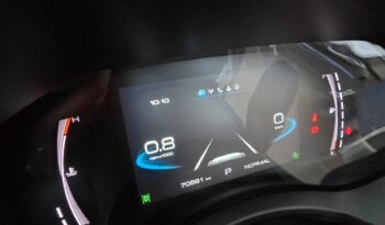 
										GWM P Series Super Luxury full									