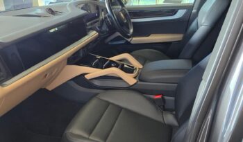 
										Porsche Cayenne E-Hybrid full									