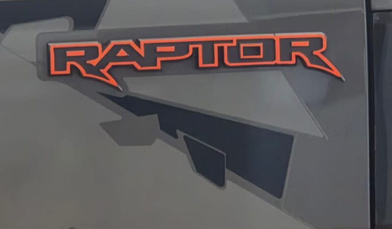 
								Ford Ranger Raptor 2.0 full									