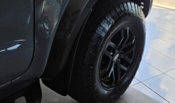 
										Ford Ranger Raptor 2.0 full									