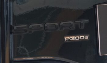 
										Land Rover Discovery Sport P300e R-Dynamic full									