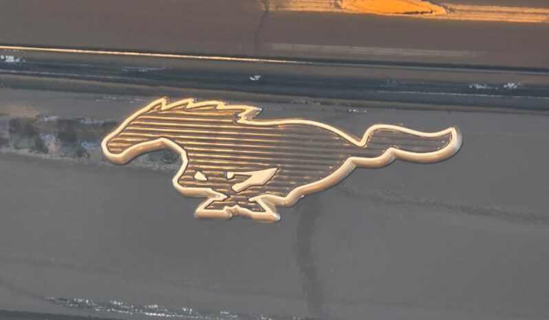 
								Ford Mustang Mach-E Extended Range full									