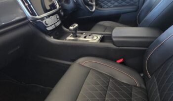 
										GWM P Series full									