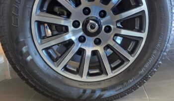 
										GWM P Series full									