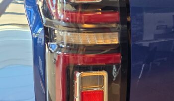 
										GWM P Series full									