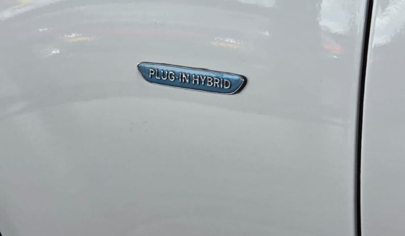 
								Mercedes-Benz S500e L AMG Line full									